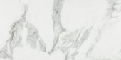 Arabescato Verona Honed 24X48 | Glens Falls Tile & Supplies