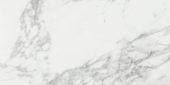 Arabescato Verona Honed 24X48 | Glens Falls Tile & Supplies