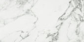 Arabescato Verona Honed 24X48 | Glens Falls Tile & Supplies