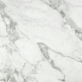 Arabescato Verona Polished 24X24 | Glens Falls Tile & Supplies