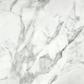 Arabescato Verona Polished 24X24 | Glens Falls Tile & Supplies