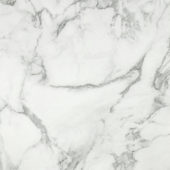 Arabescato Verona Polished 24X24 | Glens Falls Tile & Supplies