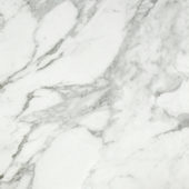 Arabescato Verona Polished 24X24 | Glens Falls Tile & Supplies