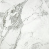 Arabescato Verona Polished 24X24 | Glens Falls Tile & Supplies