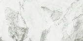 Arabescato Verona Polished 24X48 | Glens Falls Tile & Supplies