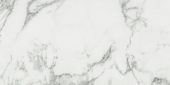 Arabescato Verona Polished 24X48 | Glens Falls Tile & Supplies