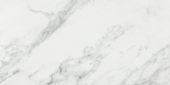 Arabescato Verona Polished 24X48 | Glens Falls Tile & Supplies