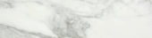 Arabescato Verona Polished 3X12 Bullnose | Glens Falls Tile & Supplies