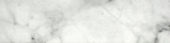 Arabescato Verona Polished 3X12 Bullnose | Glens Falls Tile & Supplies