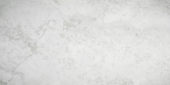 Argento 12X24 | Glens Falls Tile & Supplies