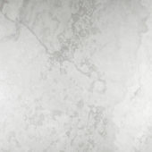 Argento 24X24 | Glens Falls Tile & Supplies