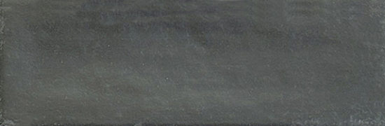 Aruba Coal Matt 2x6 | Glens Falls Tile & Supplies