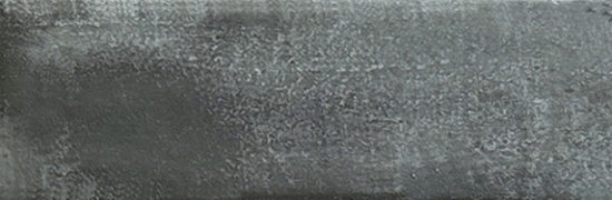 Aruba Coal Matt 2x6 | Glens Falls Tile & Supplies