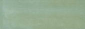 Aruba Moss Gloss 2x6 | Glens Falls Tile & Supplies