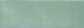 Aruba Moss Gloss 2x6 | Glens Falls Tile & Supplies