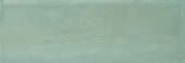 Aruba Moss Gloss 2x6 | Glens Falls Tile & Supplies