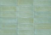 Aruba Moss Gloss 2x6 | Glens Falls Tile & Supplies