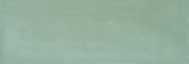 Aruba Moss Gloss 2x6 | Glens Falls Tile & Supplies