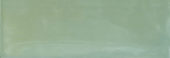 Aruba Moss Gloss 2x6 | Glens Falls Tile & Supplies