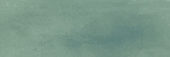 Aruba Moss Matt 2x6 | Glens Falls Tile & Supplies