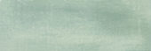 Aruba Moss Matt 2x6 | Glens Falls Tile & Supplies