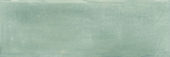 Aruba Moss Matt 2x6 | Glens Falls Tile & Supplies