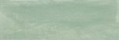 Aruba Moss Matt 2x6 | Glens Falls Tile & Supplies