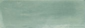 Aruba Moss Matt 2x6 | Glens Falls Tile & Supplies