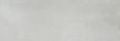 Aruba Silver Gloss 2x6 | Glens Falls Tile & Supplies