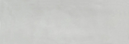 Aruba Silver Gloss 2x6 | Glens Falls Tile & Supplies