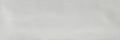 Aruba Silver Gloss 2x6 | Glens Falls Tile & Supplies