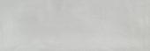 Aruba Silver Gloss 2x6 | Glens Falls Tile & Supplies