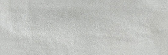 Aruba Silver Matt 2x6 | Glens Falls Tile & Supplies