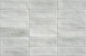 Aruba Silver Matt 2x6 | Glens Falls Tile & Supplies