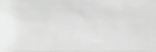 Aruba White Gloss 2x6 | Glens Falls Tile & Supplies