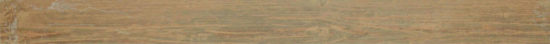 Aurora Multi 3X36 Bullnose | Glens Falls Tile & Supplies