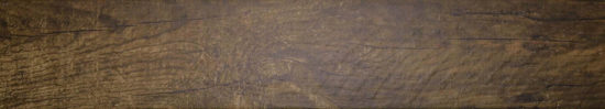 Autumn Forest 5.5X33F | Glens Falls Tile & Supplies