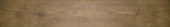 Autumn Forest 5.5X33F | Glens Falls Tile & Supplies