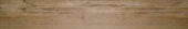Autumn Forest 5.5X33F | Glens Falls Tile & Supplies