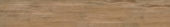 Autumn Forest 5.5X33F | Glens Falls Tile & Supplies