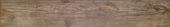 Autumn Forest 5.5X33F | Glens Falls Tile & Supplies