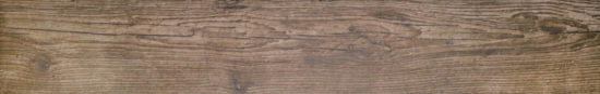 Autumn Forest 5.5X33F | Glens Falls Tile & Supplies