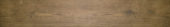 Autumn Forest 5.5X33F | Glens Falls Tile & Supplies