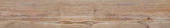 Autumn Forest 5.5X33F | Glens Falls Tile & Supplies