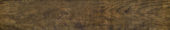 Autumn Forest 5.5X33F | Glens Falls Tile & Supplies