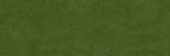 Barcelona 2x6" Olive | Glens Falls Tile & Supplies