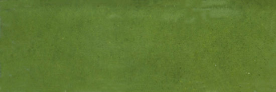 Barcelona 2x6" Olive | Glens Falls Tile & Supplies