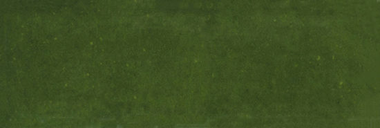 Barcelona 2x6" Olive | Glens Falls Tile & Supplies
