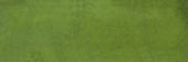 Barcelona 2x6" Olive | Glens Falls Tile & Supplies