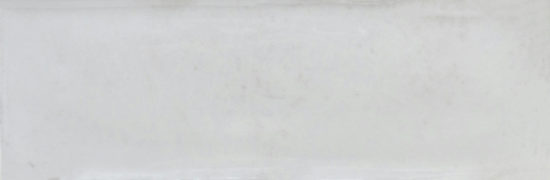 Barcelona 2x6" White | Glens Falls Tile & Supplies